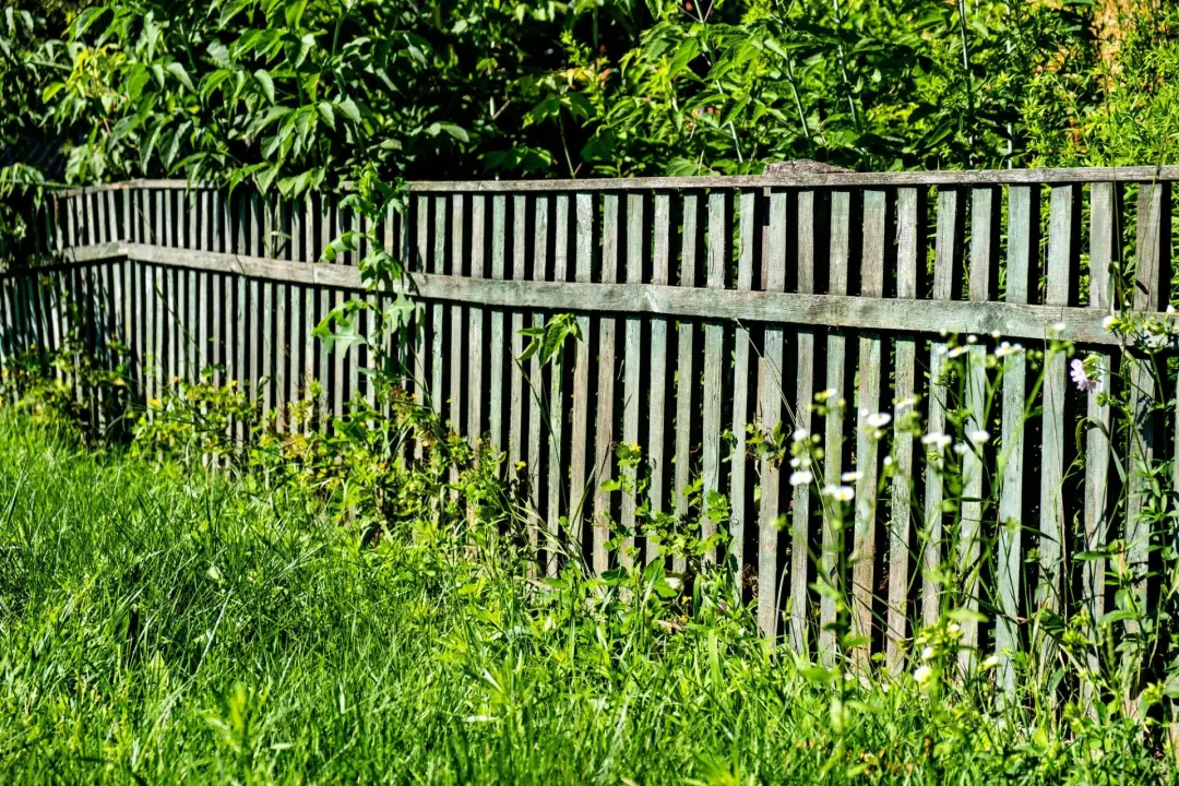 Installation - Choosing New Garden Fencing