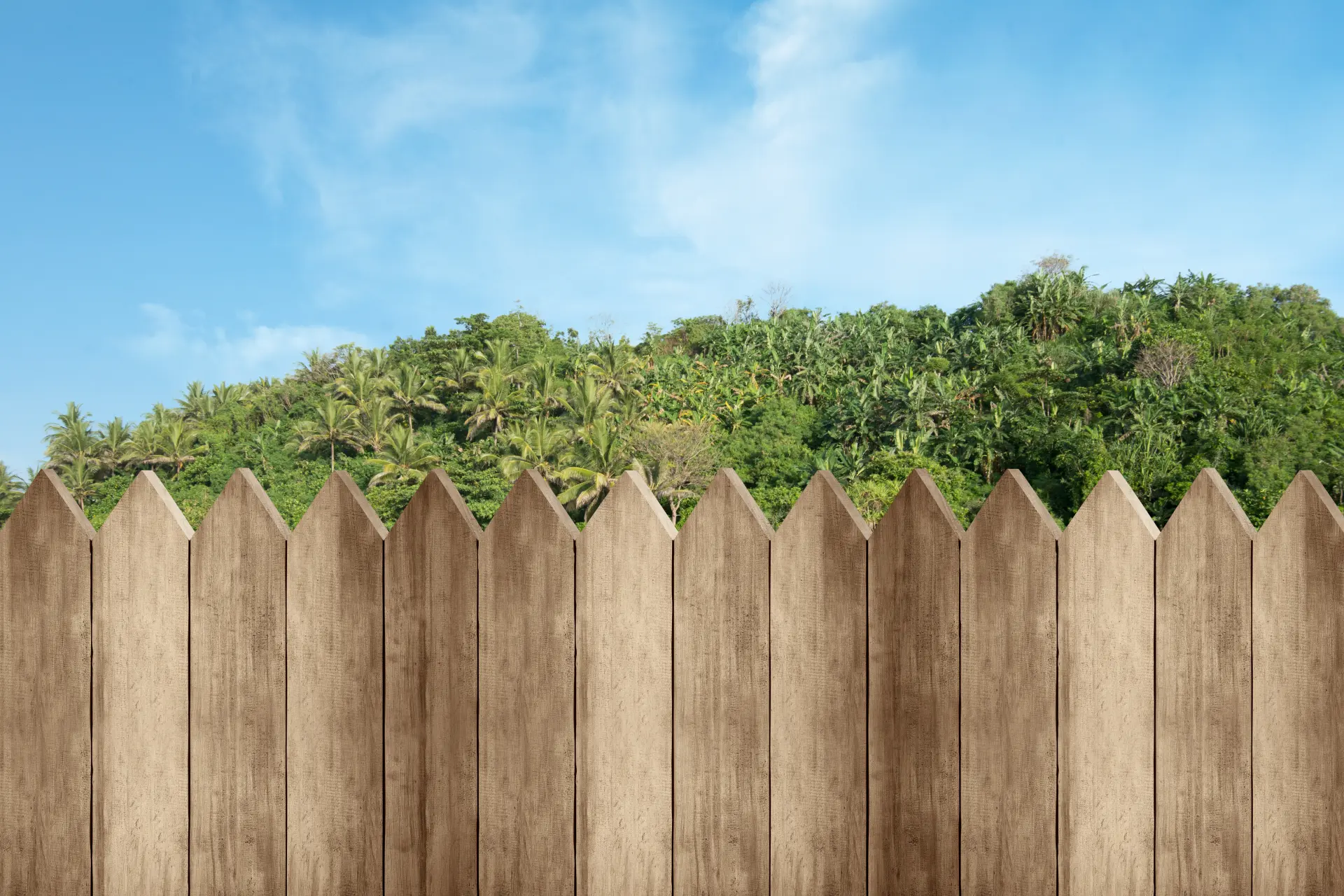 Why Use Timber in Landscape Gardening Why Use Timber in Landscape Gardening Image