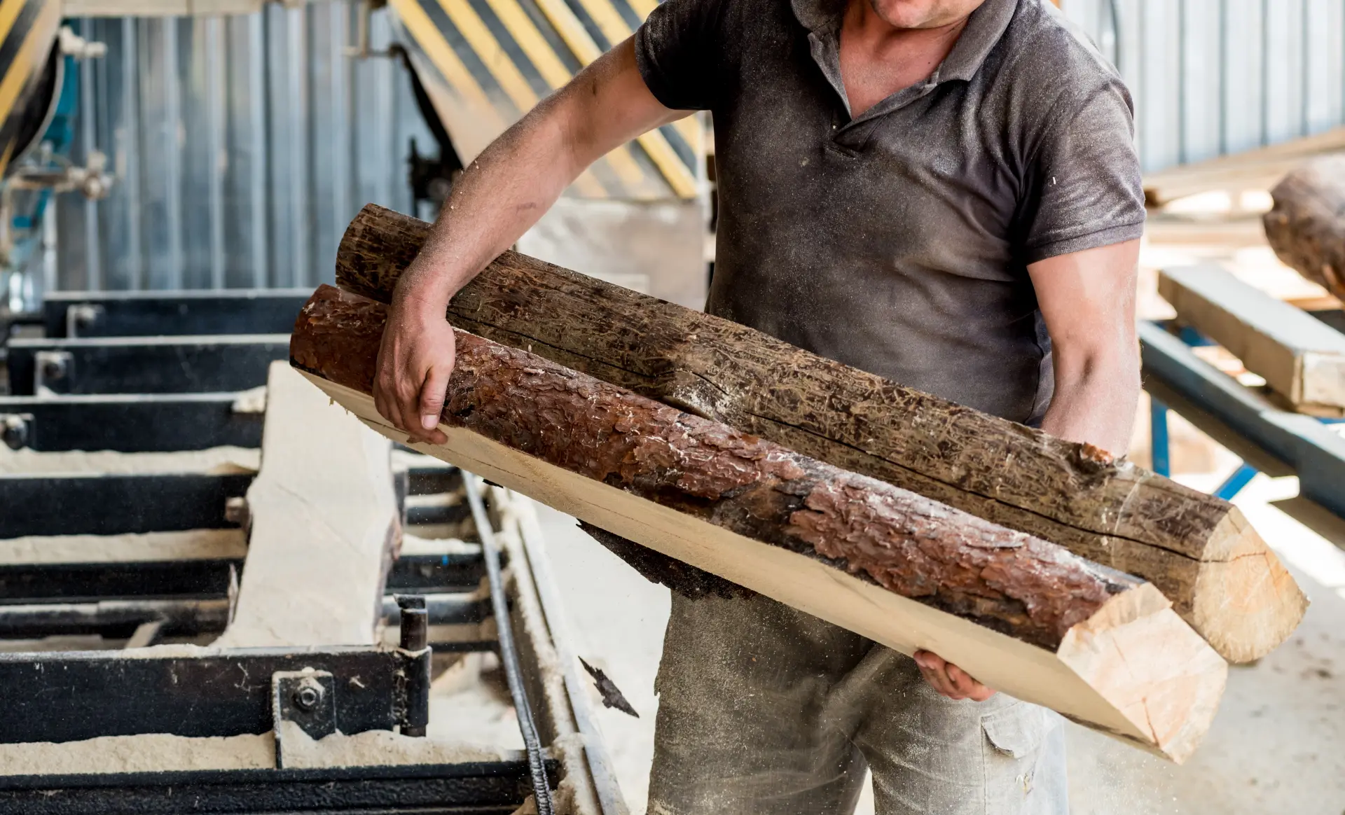 Why Builders Still Choose Timber