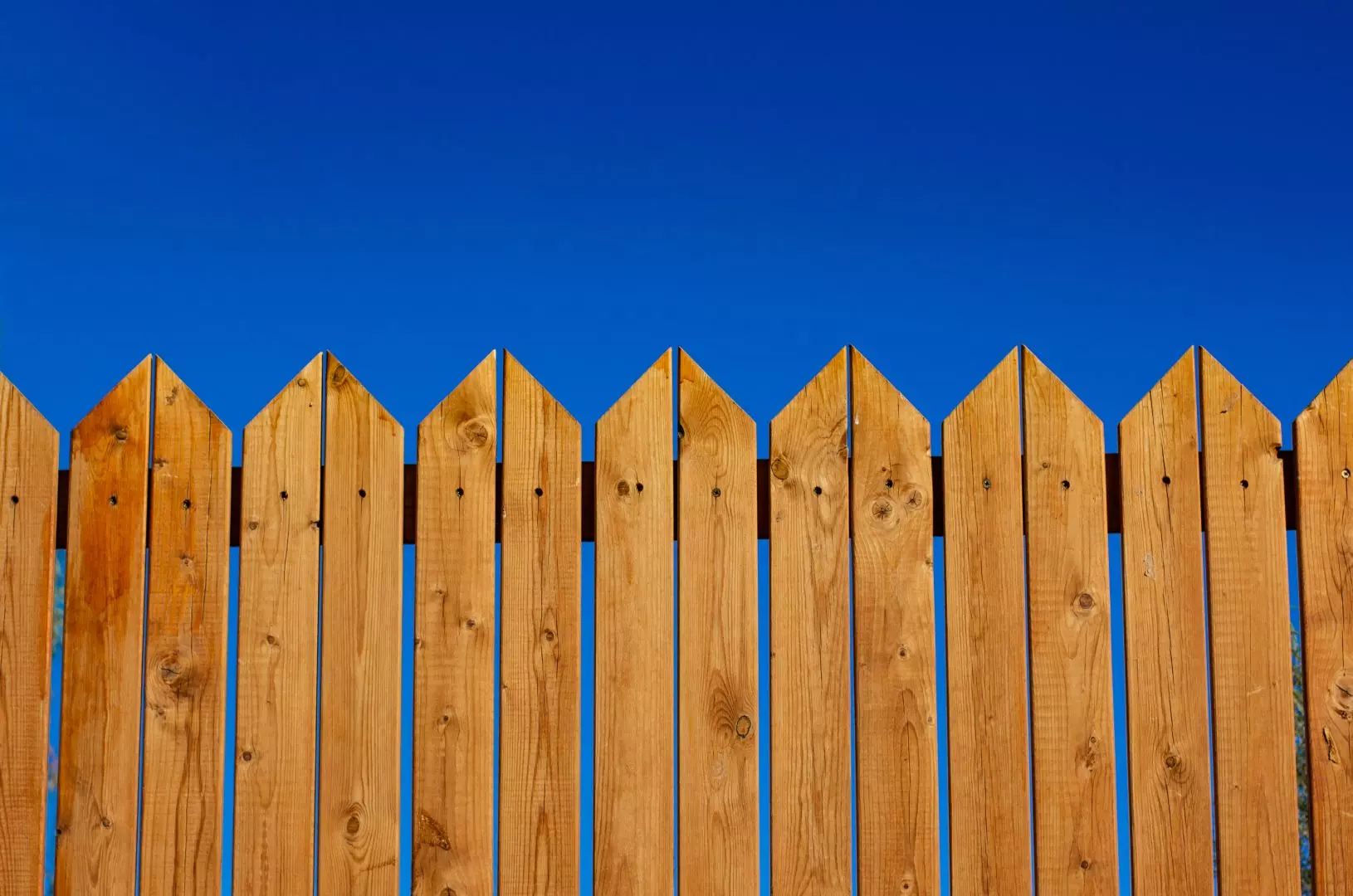 Tips to Prevent Wood Rot In Your Garden Fence